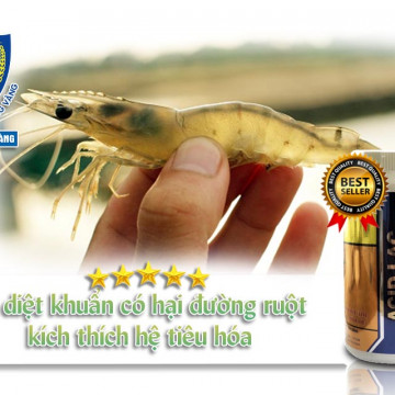acid hữu cơ cho tôm SINH HỌC TÔM VÀNG