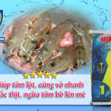 bổ sung khoáng cho tôm