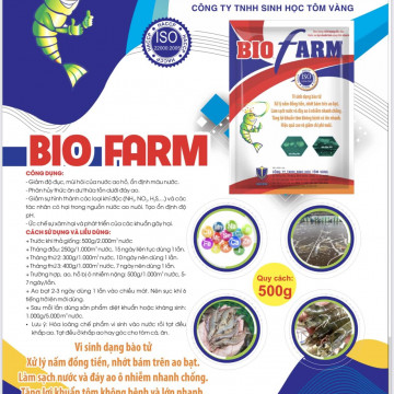 NẤM ĐỒNG TIỀN