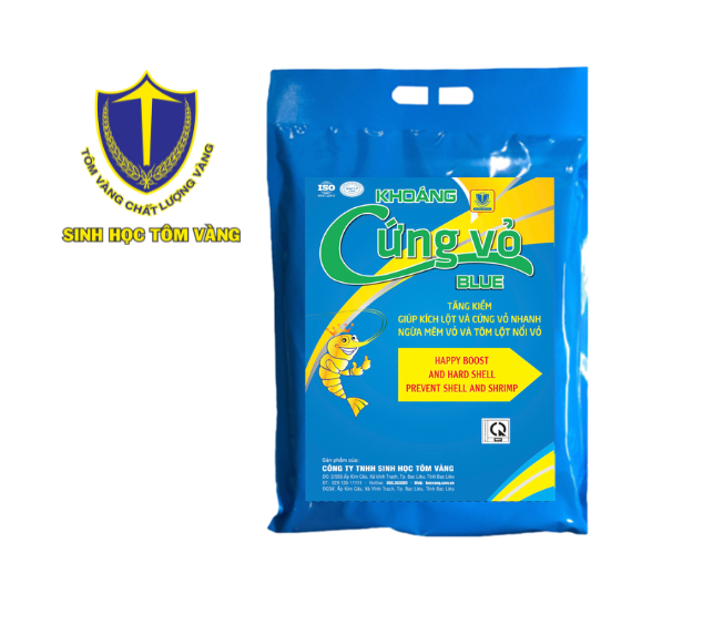 Hội thảo trực tuyến Tiếp thị Mạng xã hội (5)