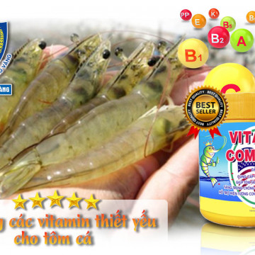 Vitamin tổng hợp cho tôm - sinh học tôm vàng
