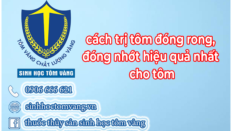 TÔM ĐÓNG RONG