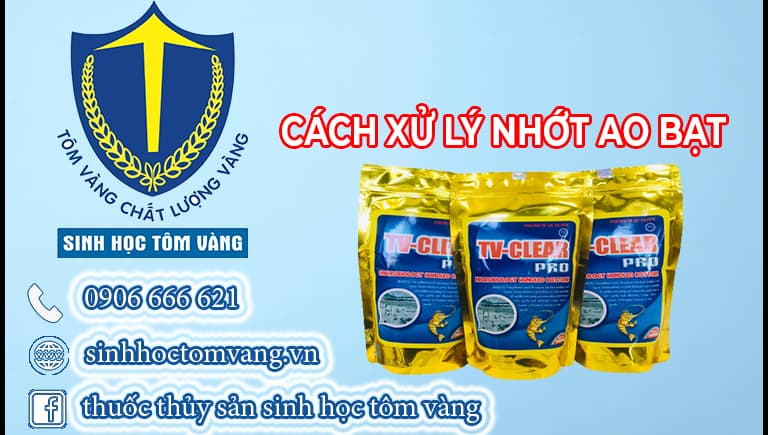 xử lý nhớt ao bạt