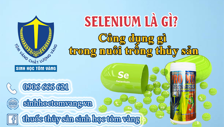 SELENIUM