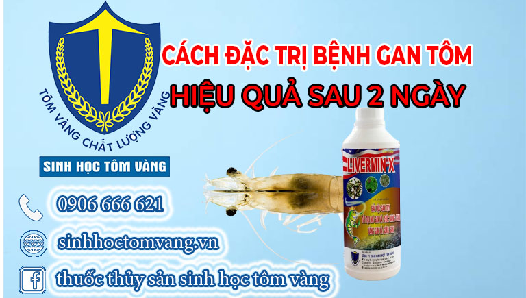bệnh gan ở tôm