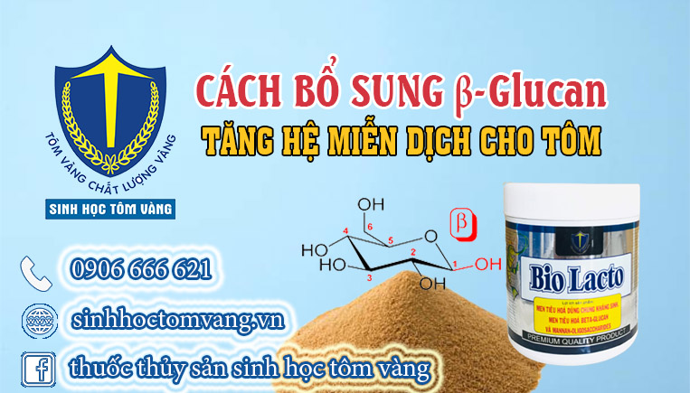 beta glucan cho tom