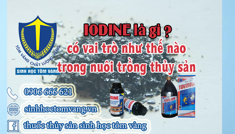 iodine la gi