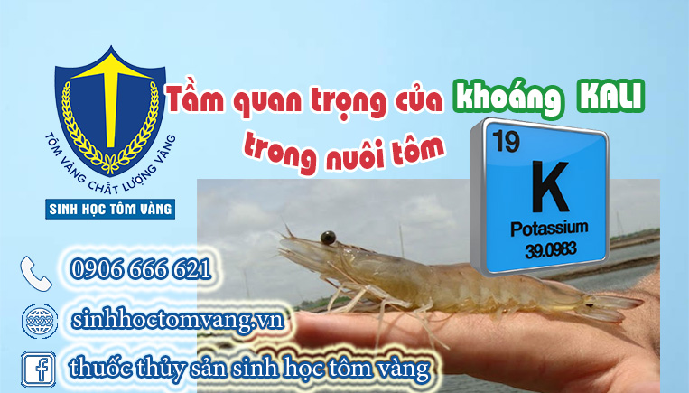 kali trong nuôi tôm