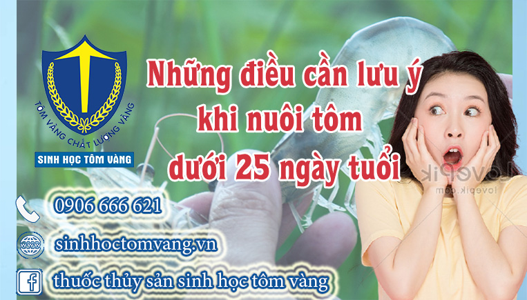 nhung dieu can lu y nuoi tom