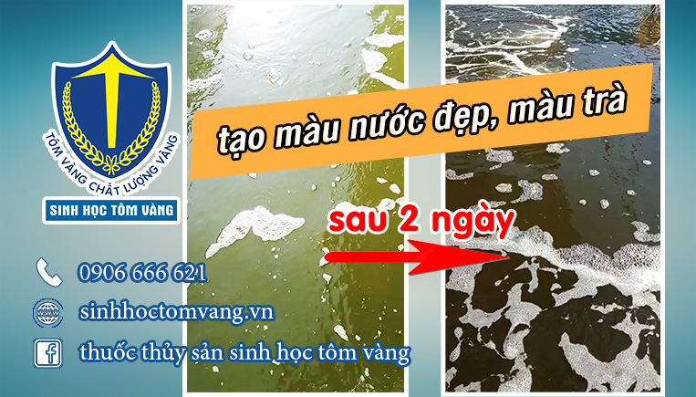 cách tạo màu nước đẹp