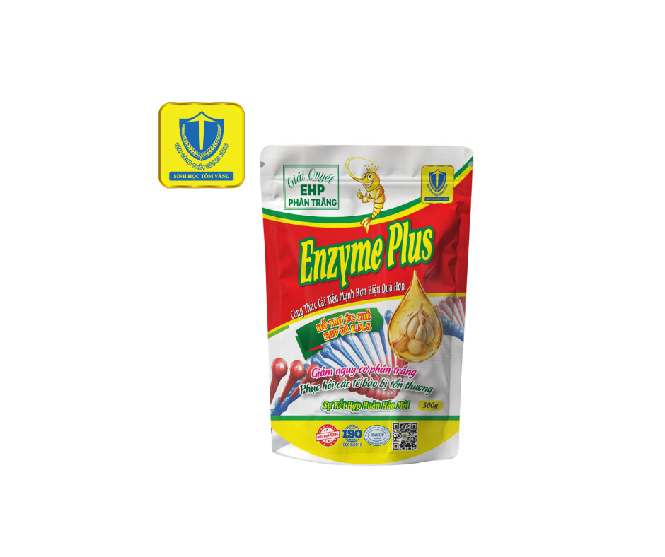 ENZYME PLUS