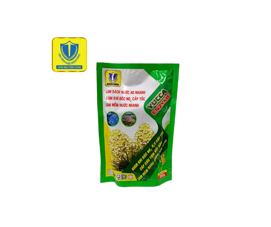 YUCCA ENZYME