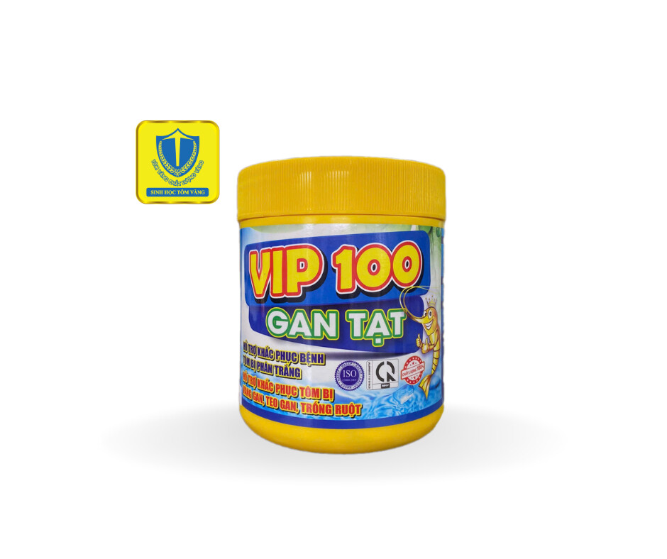 WEB - 2026-10-07T084240.066
