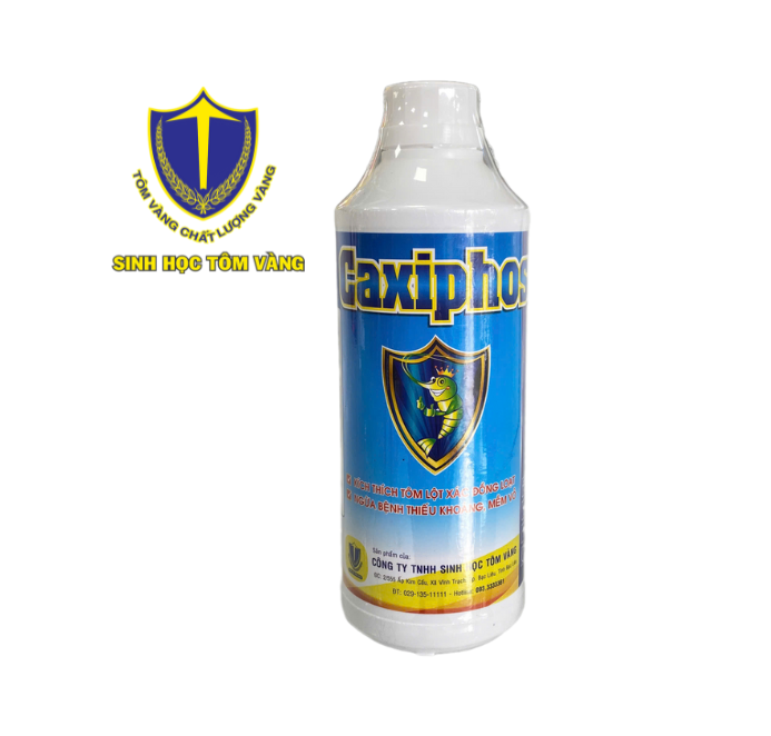 Thiết kế chưa có tên (33)