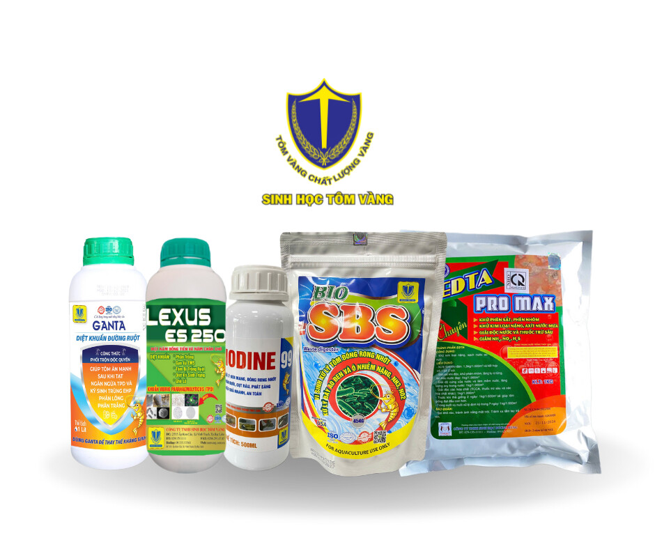 CÔNG TY TNHH SINH HỌC TÔM VÀNG (10)