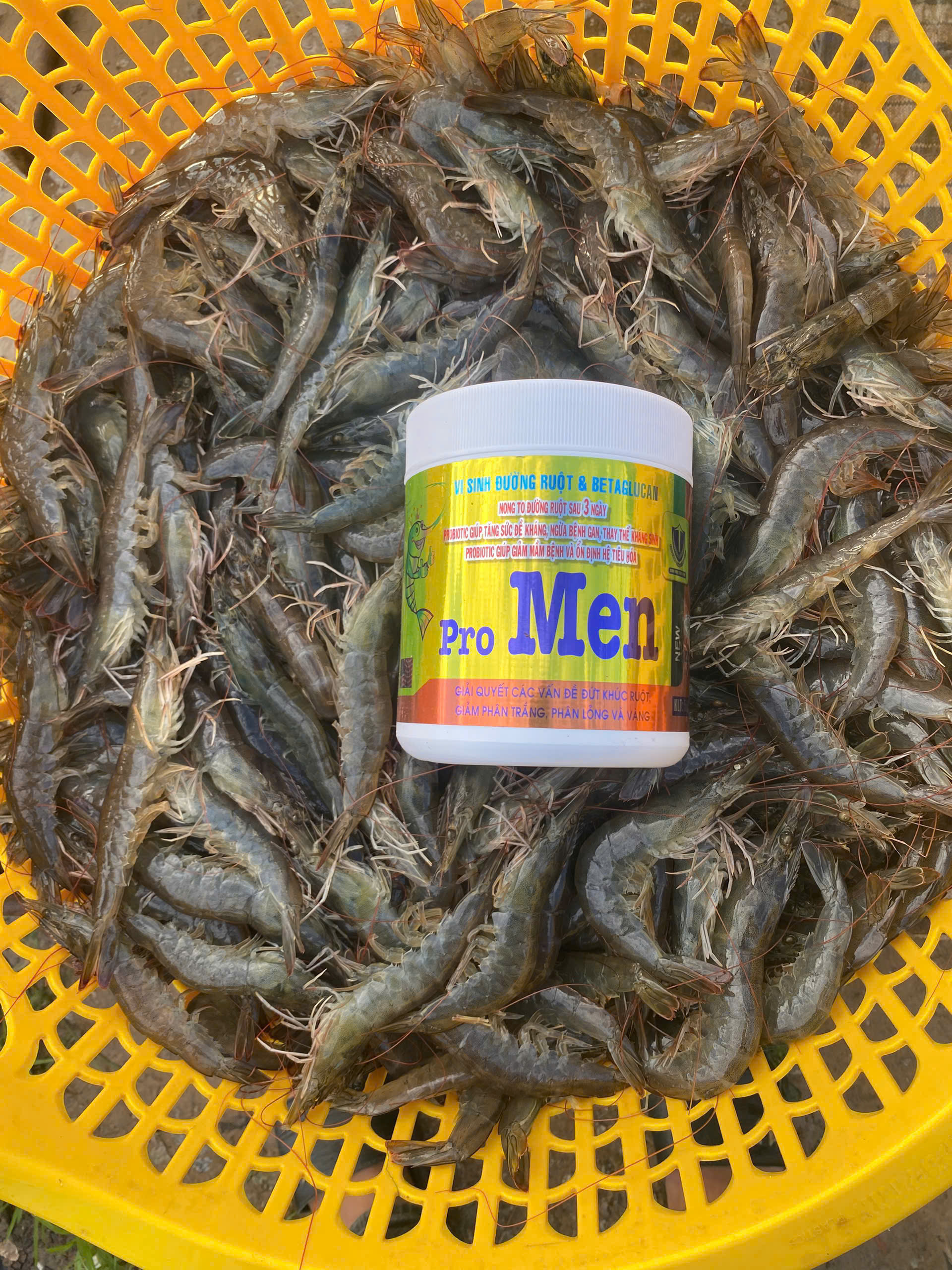 hình ảnh 15 tấn tôm