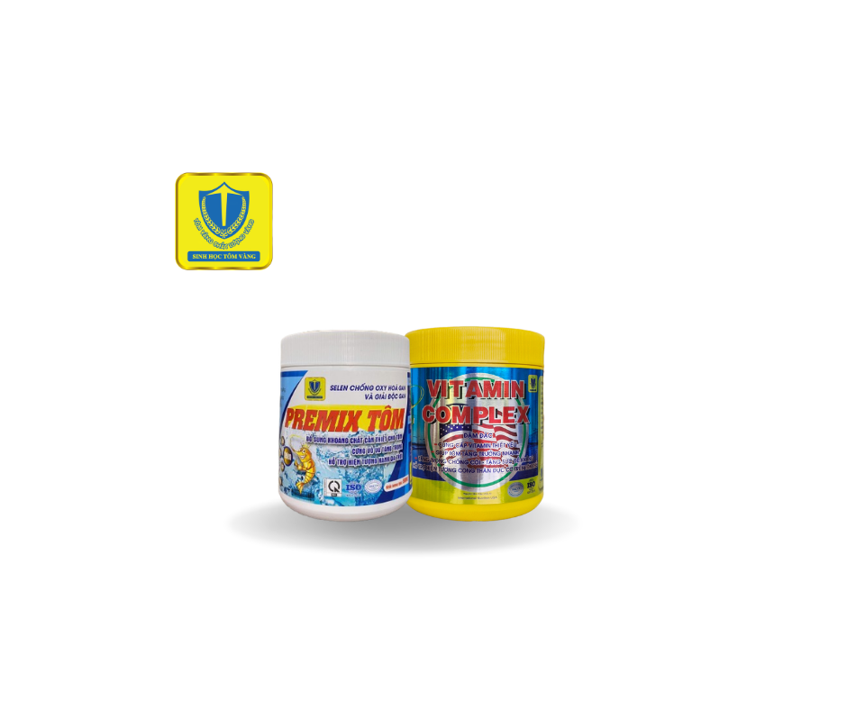 Bộ đôi vitamin khoáng cần thiết