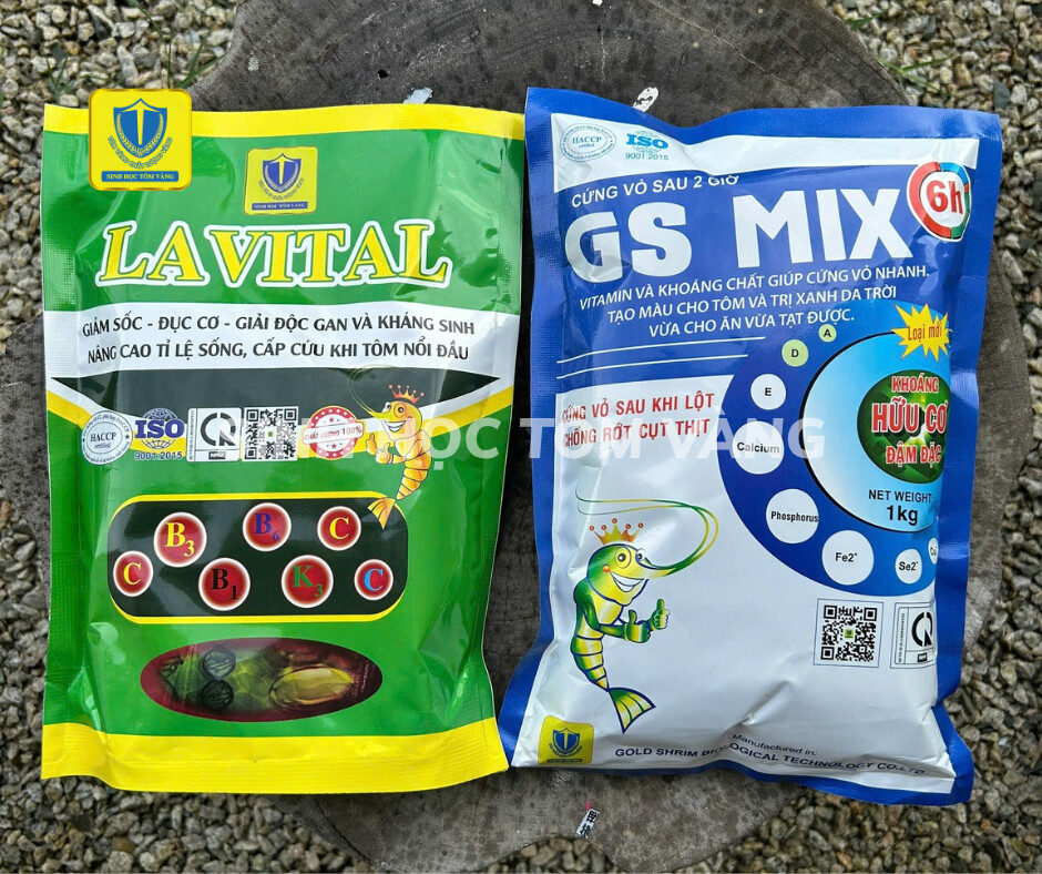 TÔM MỀM VỎ, CONG THÂN, ĐỤC CƠ SAU LỘT