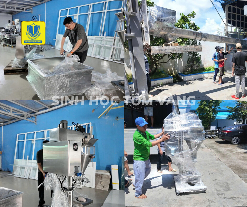 Tôm vàng tiếp tục đầu tư thiết bị sản xuất