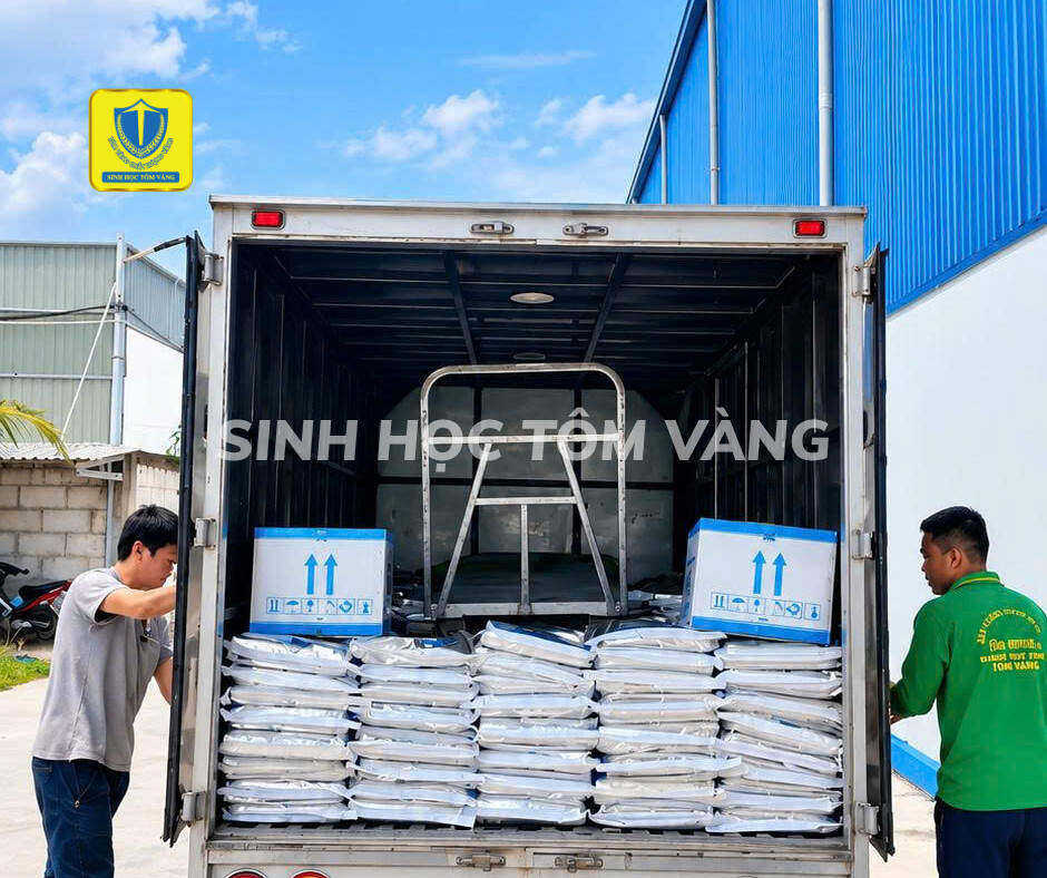 TIẾP NỐI NHỮNG CHUYẾN HÀNG TẠI TÔM VÀNG